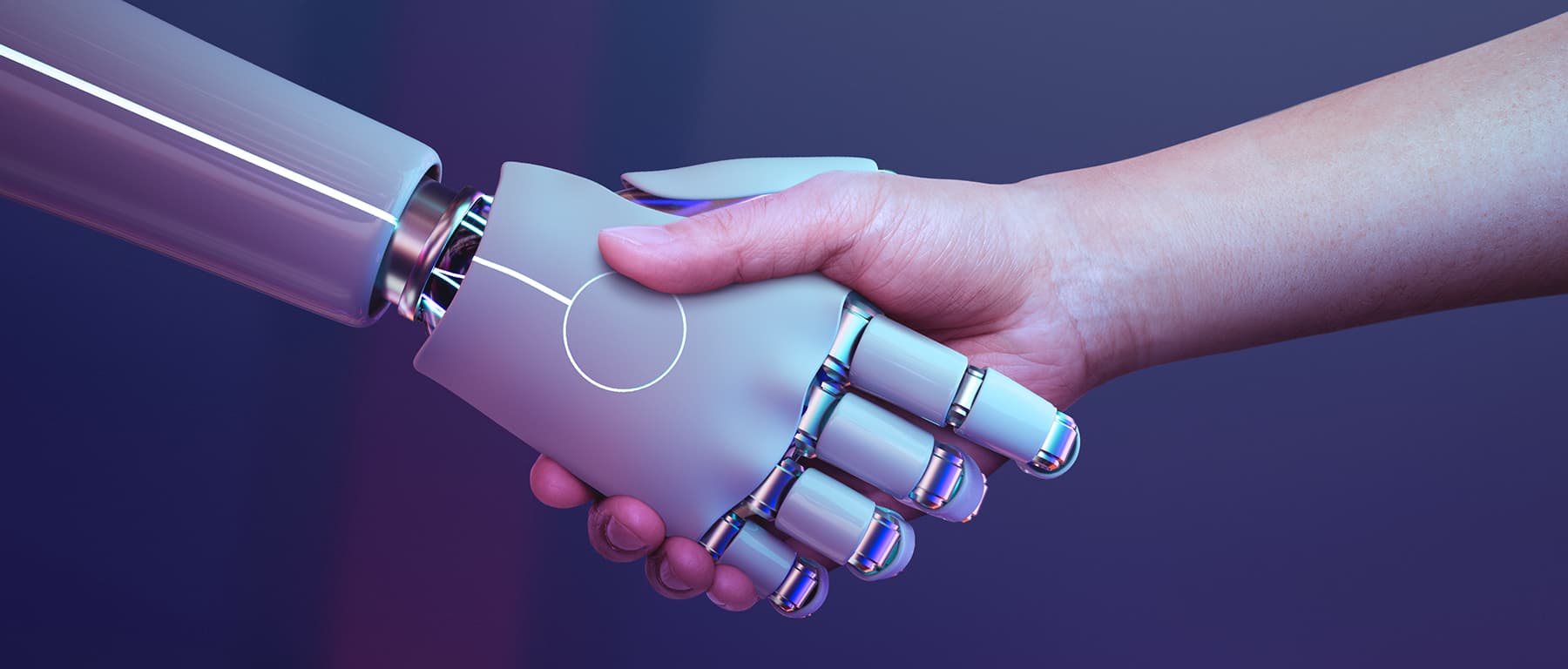 Website Designers Near Me